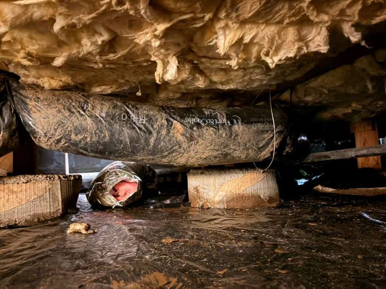 Crawl space before insulation