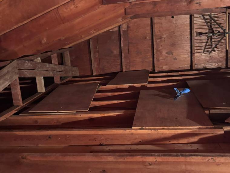 Forest Fresh insulation job in Portland