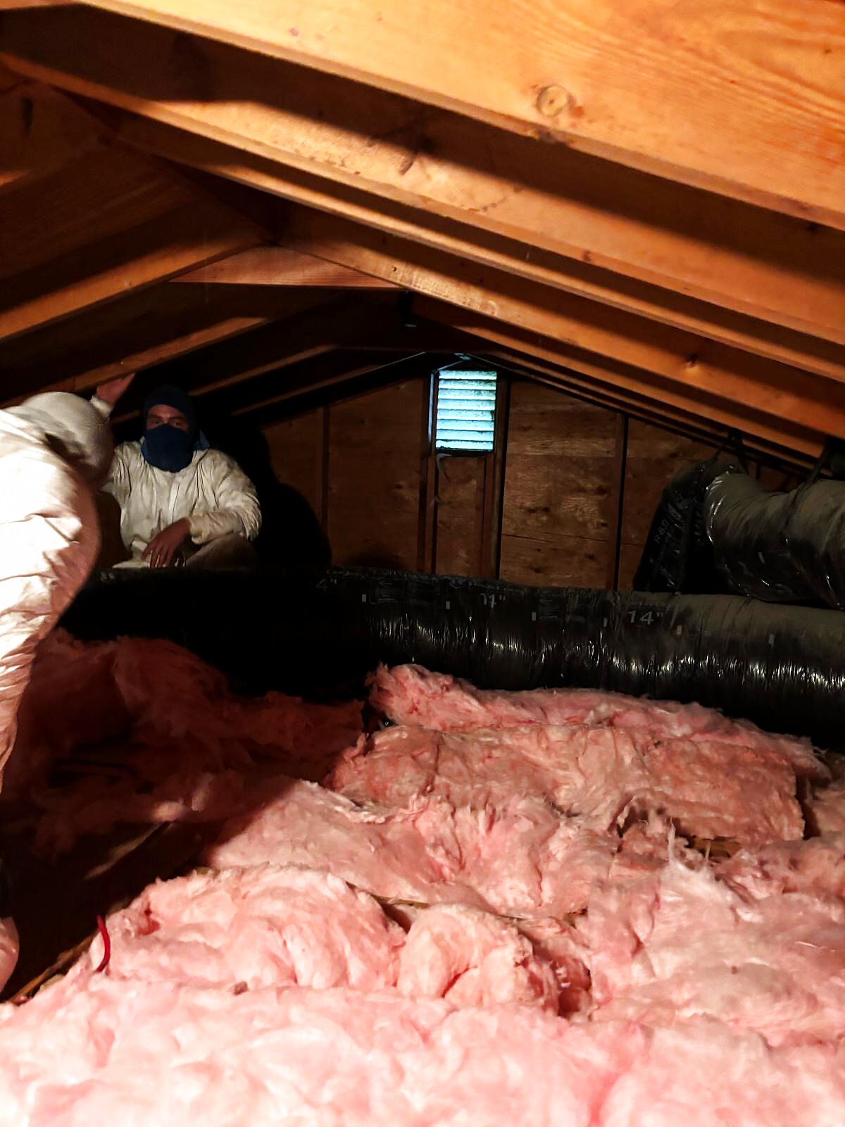 Existing attic insulation assessment